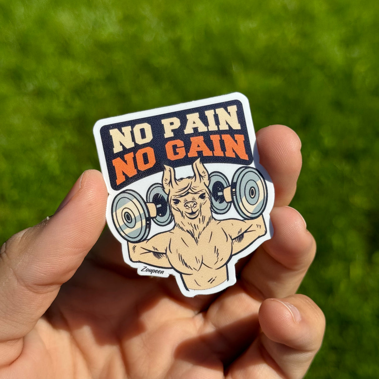 No Pain No Gain Sticker