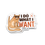 Cool Cat Sticker